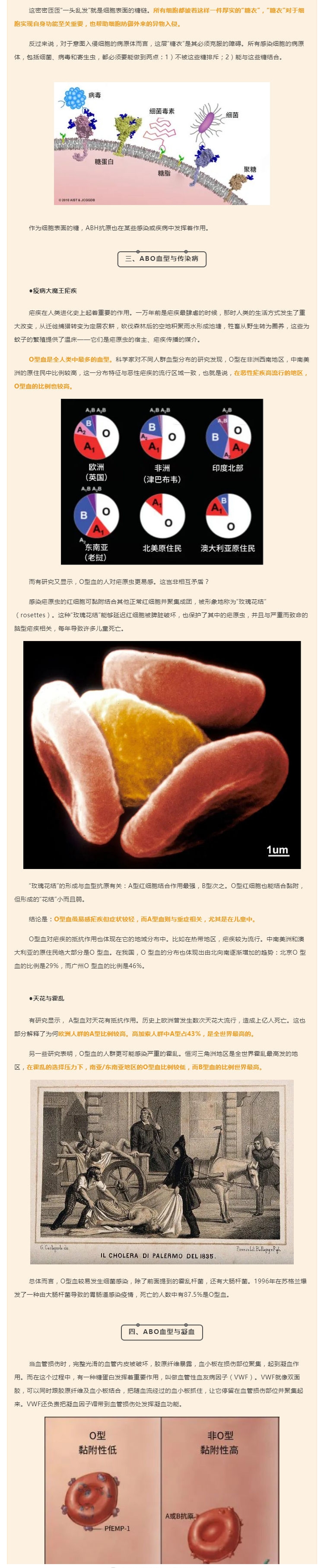 A型血易感新冠肺炎？02.jpg