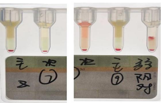 圖2 調(diào)整.jpg